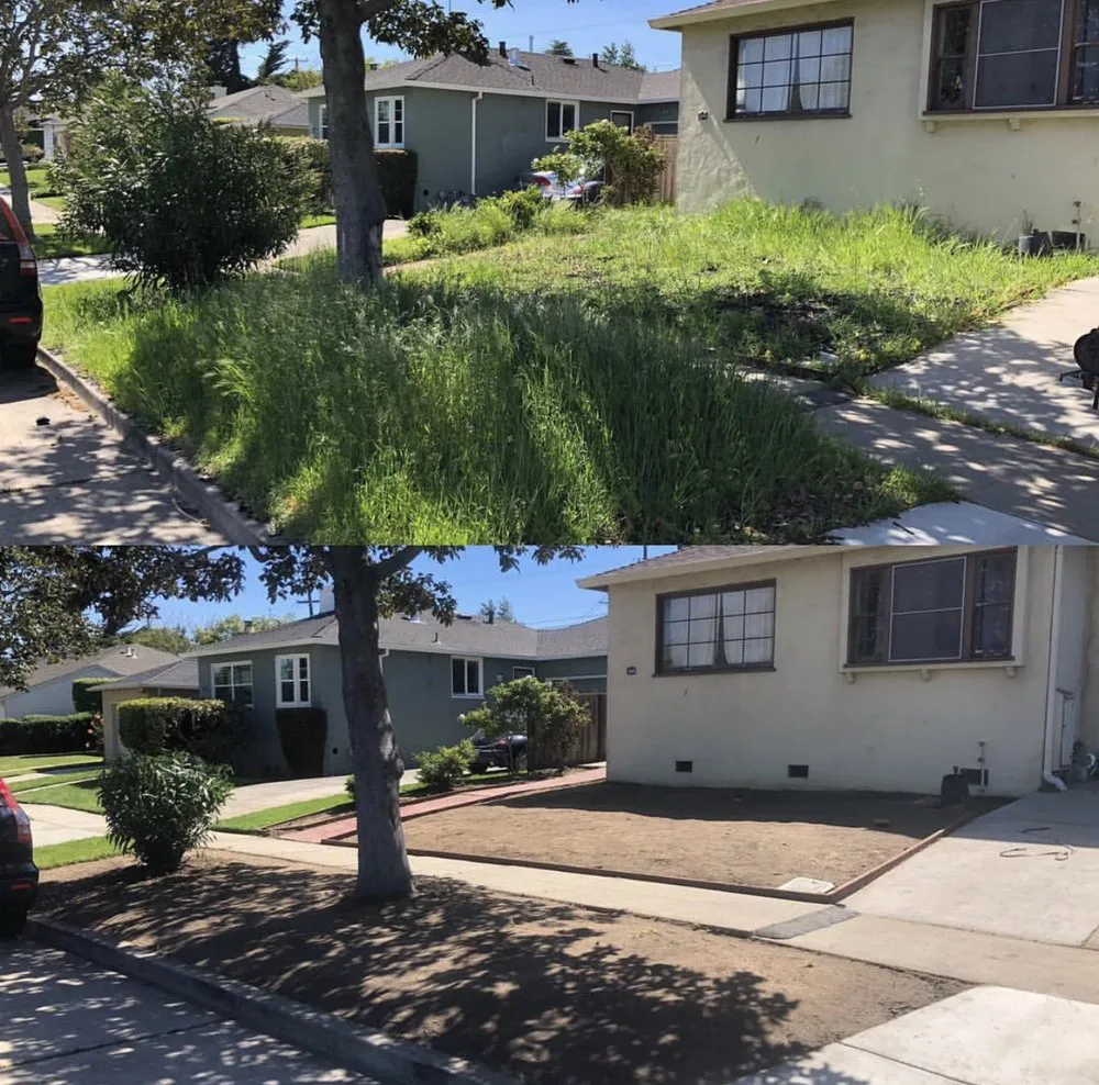 Custom yard maintenance experts serving Hayward, CA - Mario Cisneros