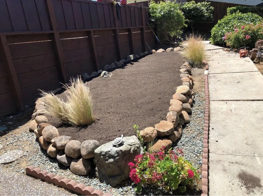 Affordable landscaping services experts serving Hayward, CA - Mario Cisneros