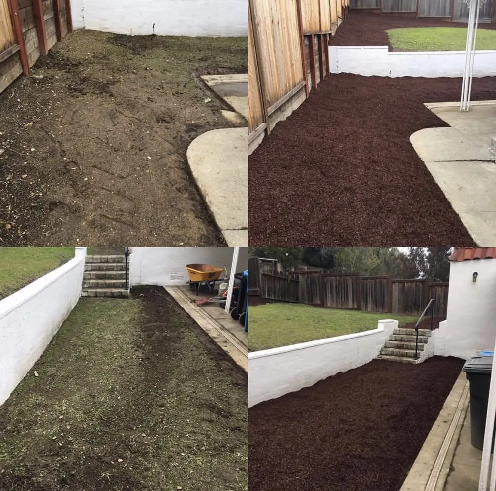 Professional residential landscaping for residential properties in Hayward, CA by Mario Cisneros