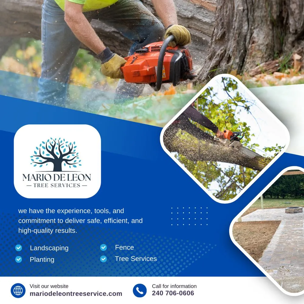 Custom residential landscaping with custom design in Lexington Park, MD by Mario De Leon Tree Services