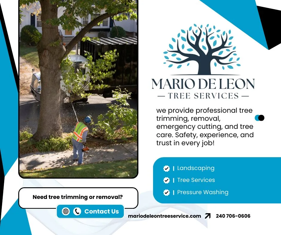 Top-rated lawn care service experts serving Lexington Park, MD - Mario De Leon Tree Services