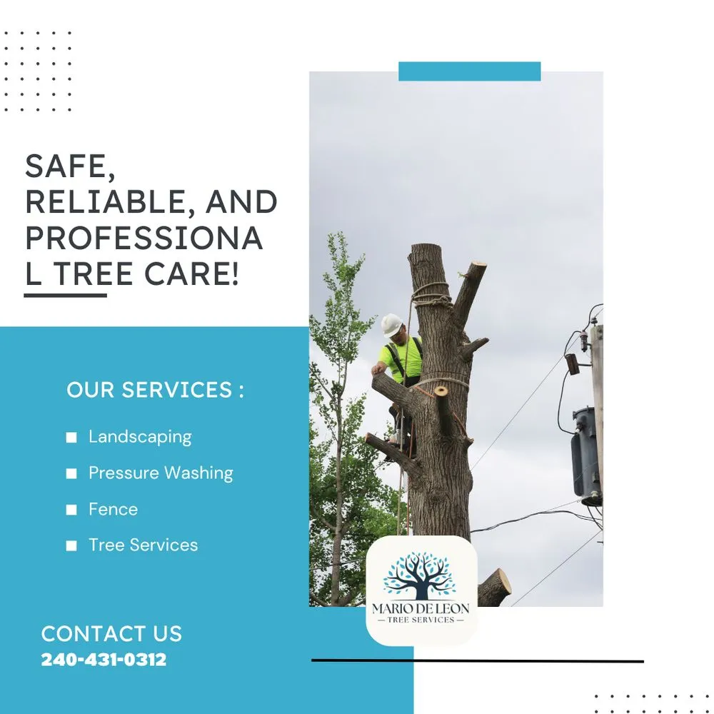 Trusted lawn care service experts serving Lexington Park, MD - Mario De Leon Tree Services