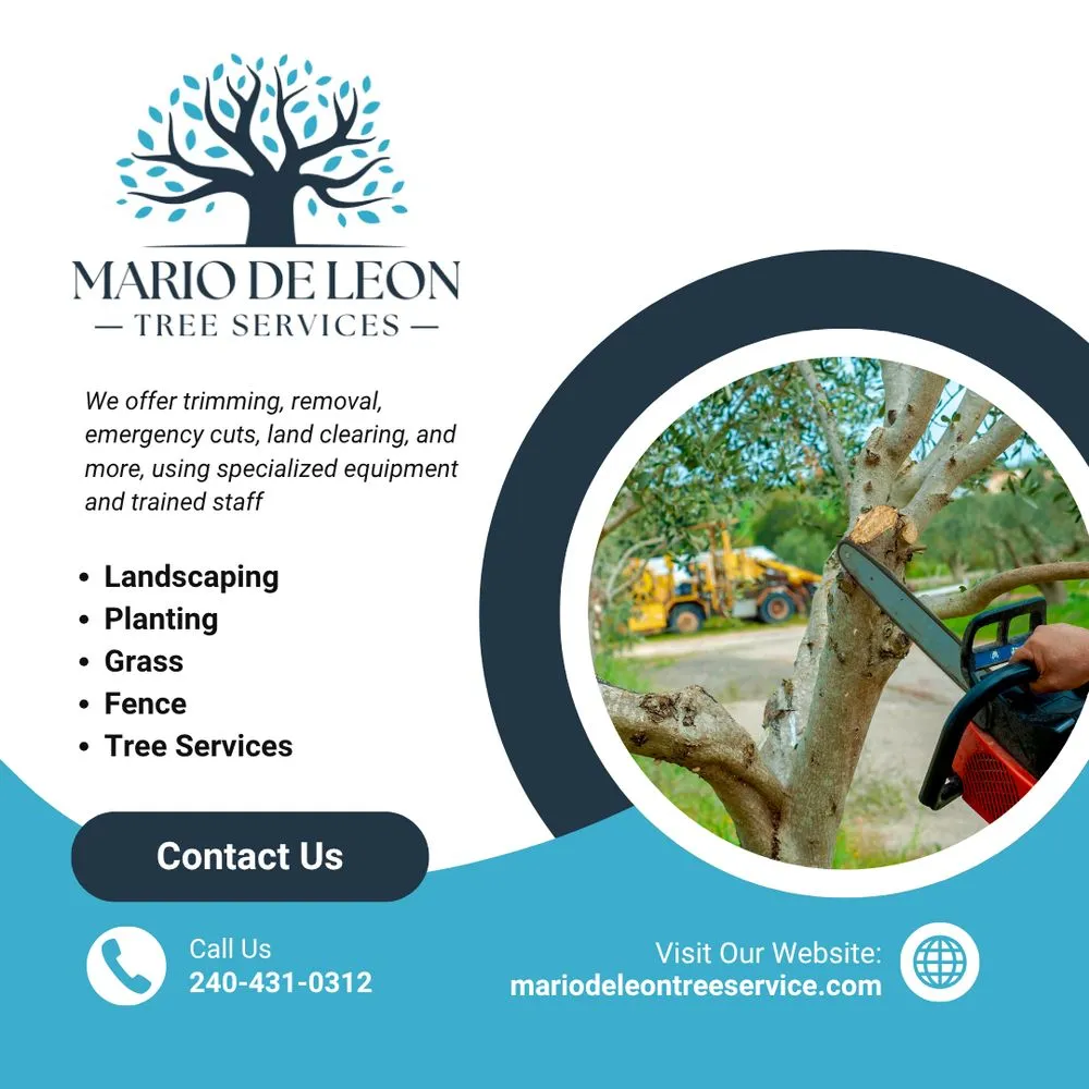 Affordable landscaping services in Lexington Park, MD - Mario De Leon Tree Services
