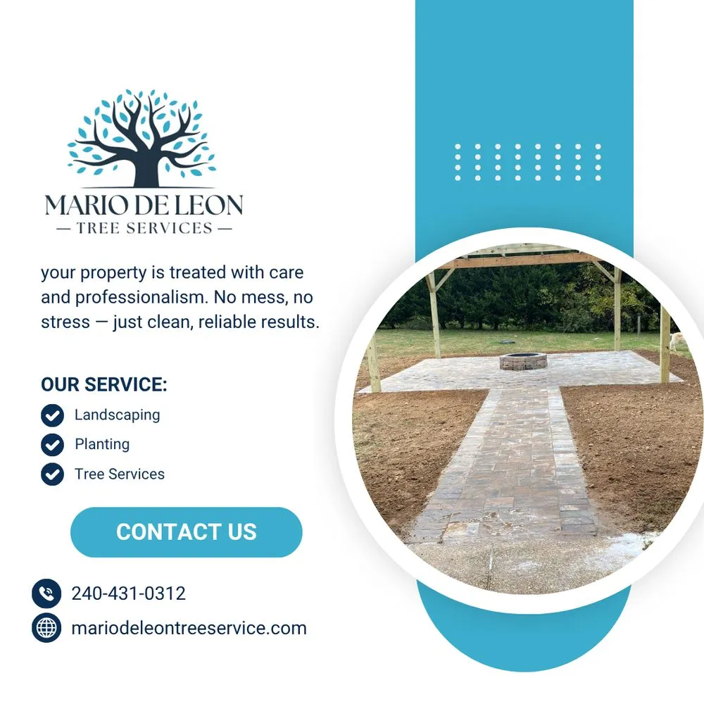 Top-rated yard cleanup service in Lexington Park, MD - Mario De Leon Tree Services