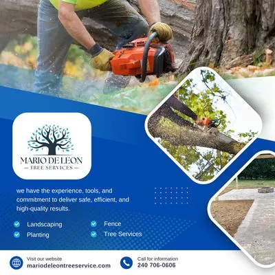 Mario De Leon Tree Services