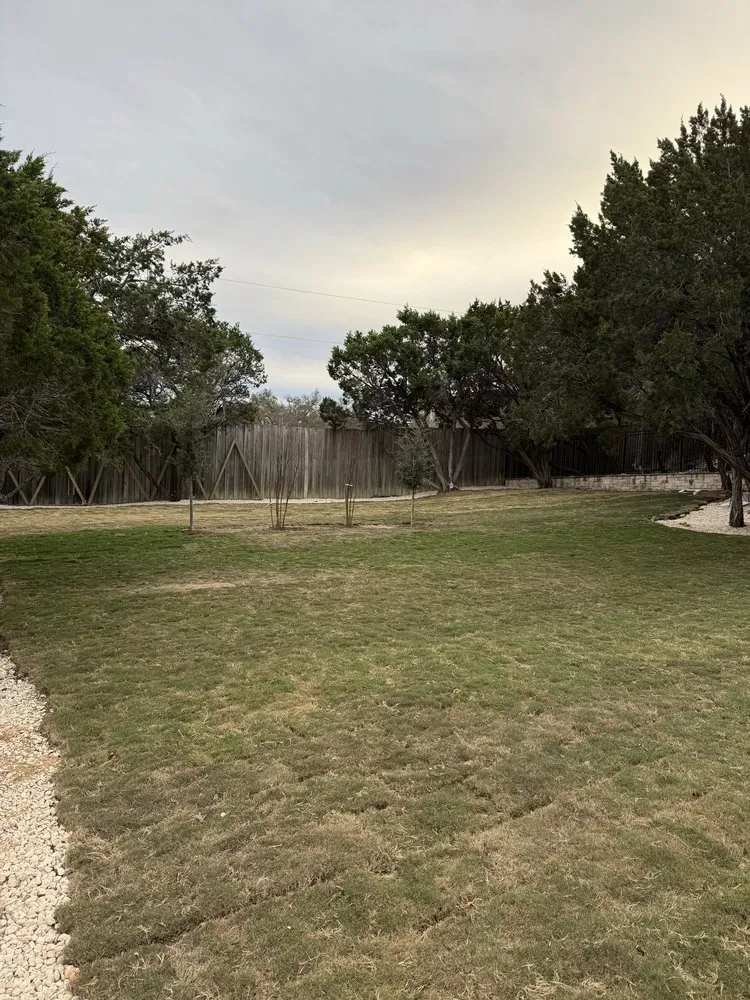 Affordable yard maintenance in Bee Cave, TX - Mario Excavation & Landscaping