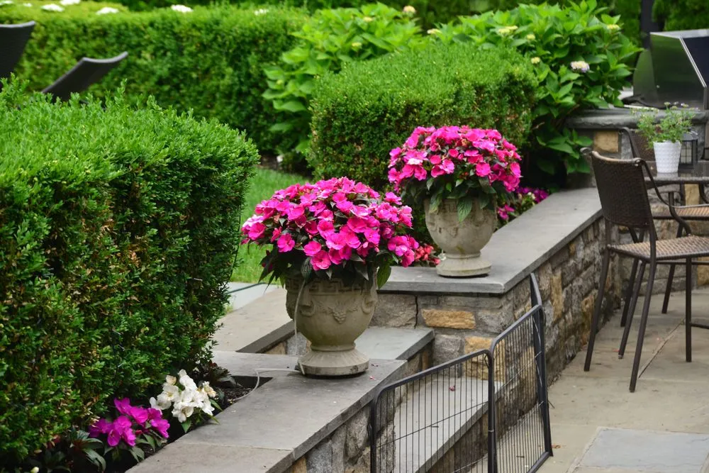 Trusted lawn care service for homes in Bronxville, NY by Mario Forgione Landscaping