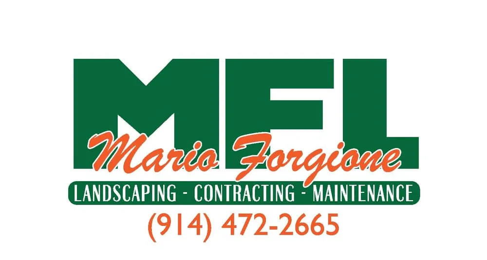 Professional yard cleanup service experts serving Bronxville, NY - Mario Forgione Landscaping