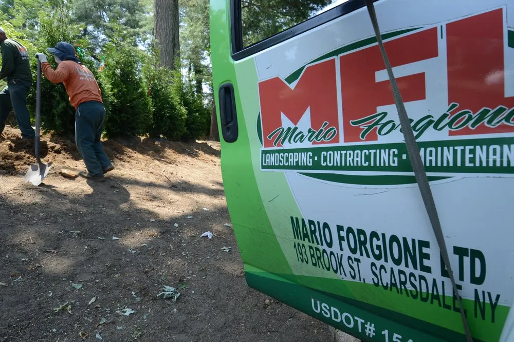 Custom yard cleanup service experts serving Bronxville, NY - Mario Forgione Landscaping