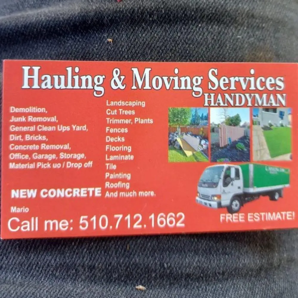 Affordable yard cleanup service in Oakland, CA - Mario G. Hauling Junk Removal