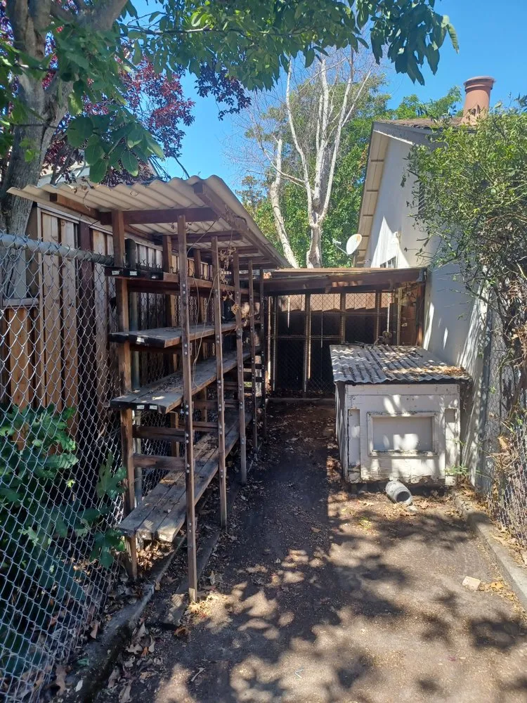 Trusted outdoor landscaping in Oakland, CA - Mario G. Hauling Junk Removal