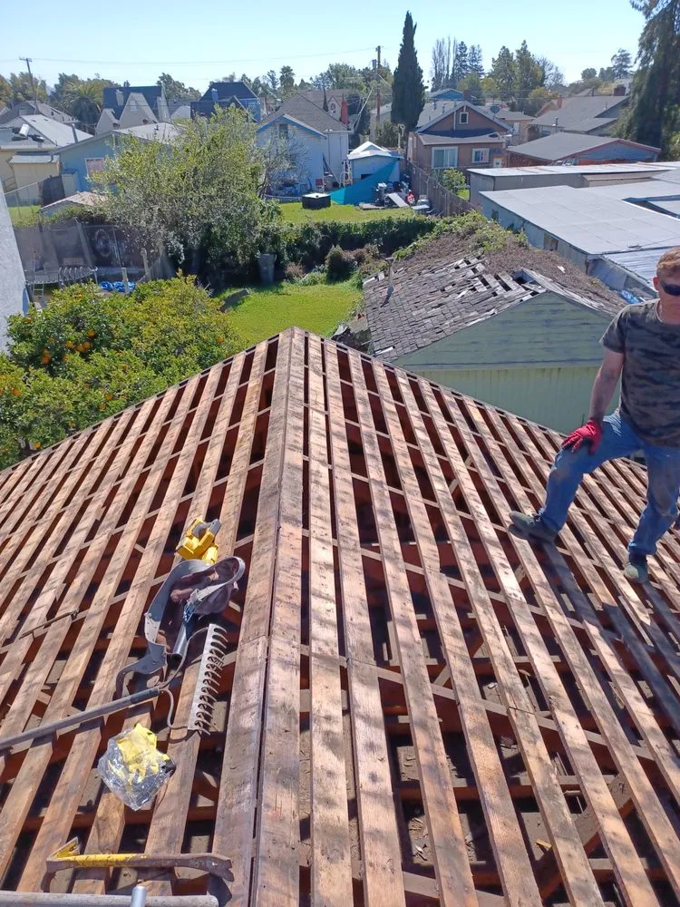 Professional outdoor landscaping experts serving Oakland, CA - Mario G. Hauling Junk Removal