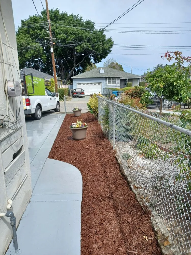 Affordable yard maintenance experts serving Oakland, CA - Mario G. Hauling Junk Removal