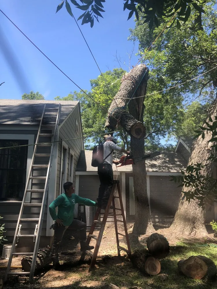 Reliable landscaping services experts serving Cedar Park, TX - Mario Landscaping & Tree Service