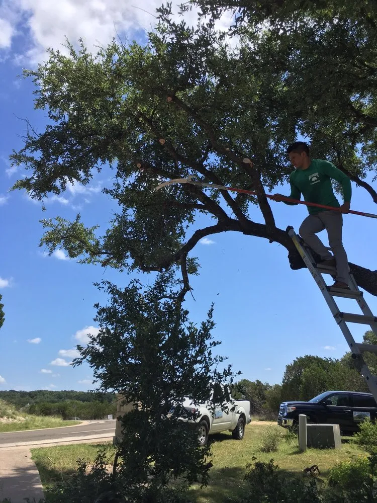 Expert lawn mowing service for beautiful yards across Cedar Park, TX - Mario Landscaping & Tree Service
