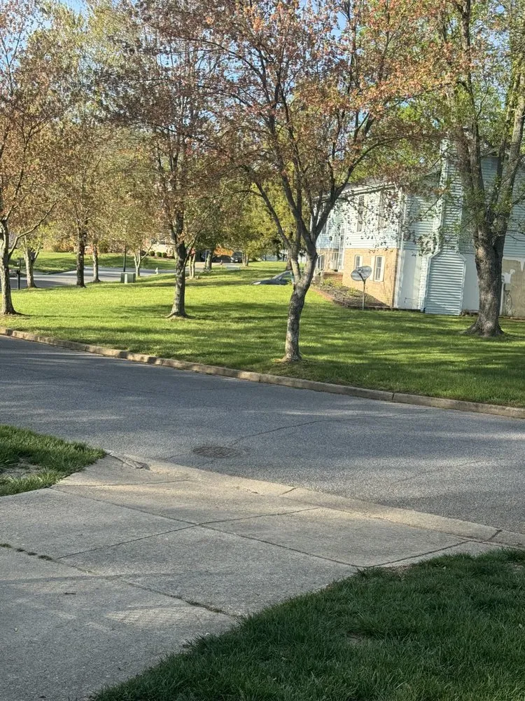 Custom yard cleanup service in Brandywine, MD by Mario Landscaping