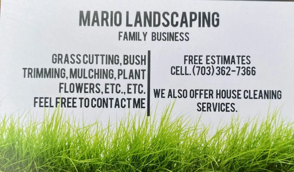Top-rated landscape installation experts serving Brandywine, MD - Mario Landscaping Family Business