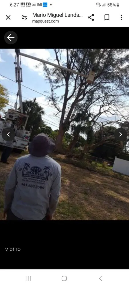 Local landscape design in Lake Worth Beach, FL by Mario Landscaping