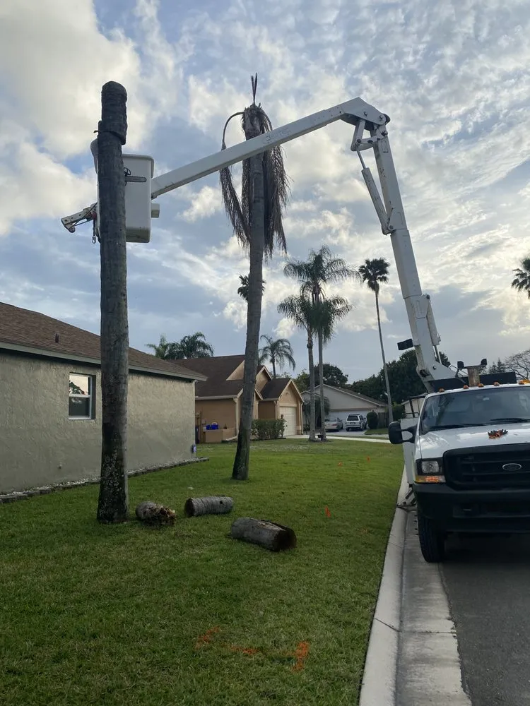 Expert outdoor landscaping in Lake Worth Beach, FL - Mario Landscaping