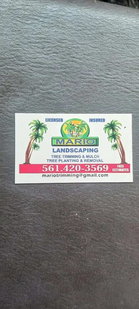 Expert lawn mowing service for year-round maintenance in Lake Worth Beach, FL by Mario Landscaping