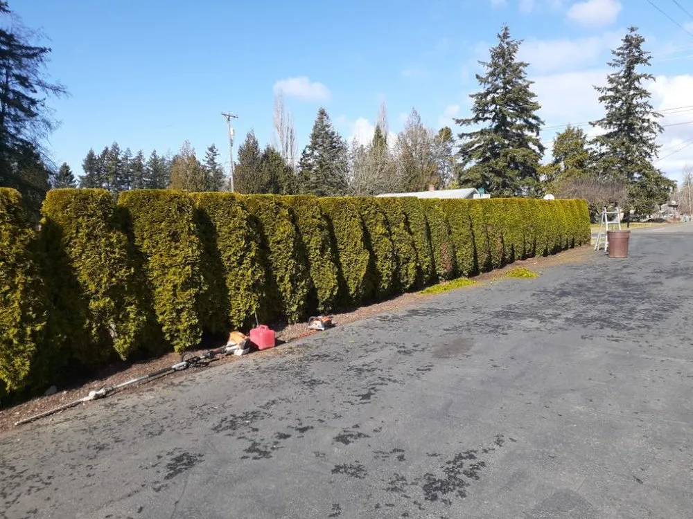Top-rated landscape design with custom design in Port Orchard, WA by Mario Landscaping