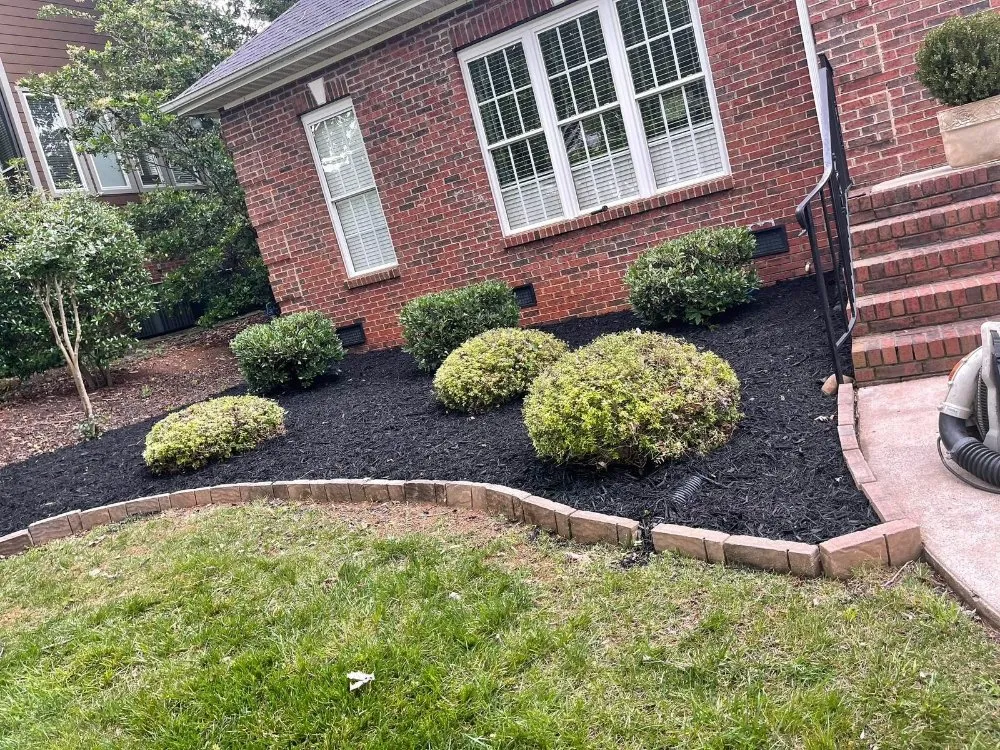Top-rated landscaping services in York, SC by Mario Landscaping