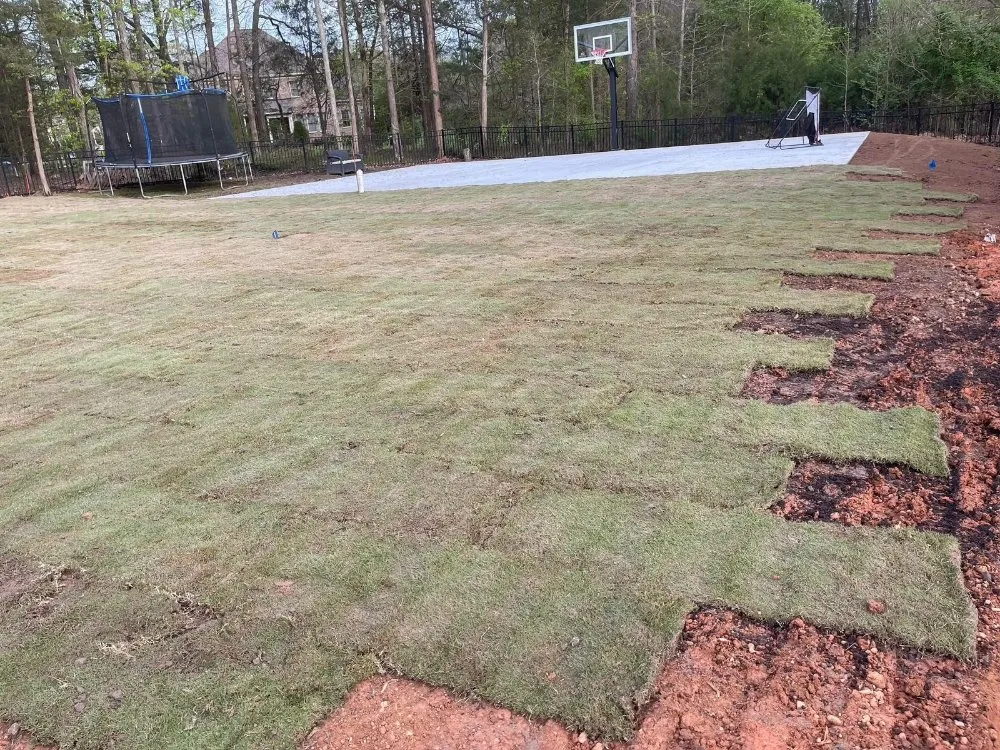 Custom yard maintenance in York, SC by Mario Landscaping