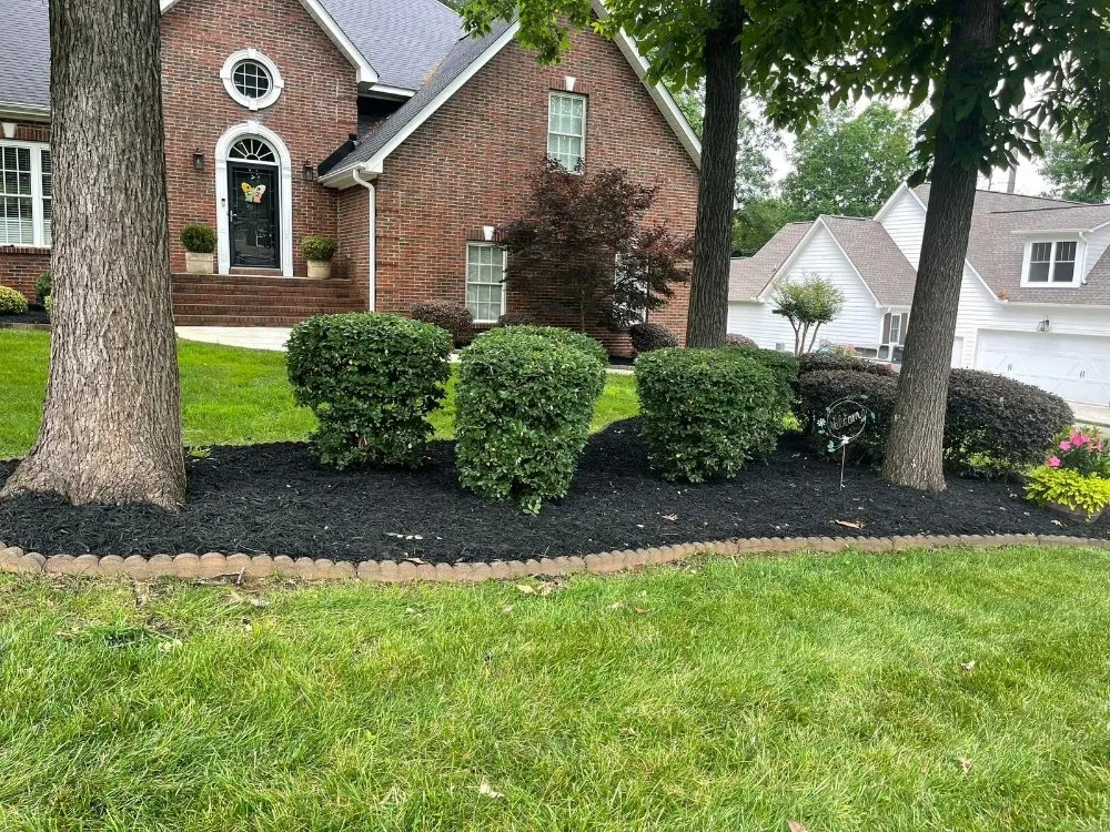 Trusted landscape design for homes across York, SC - Mario Landscaping