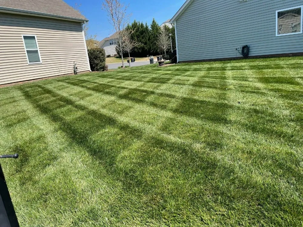 Trusted yard maintenance in York, SC - Mario Landscaping