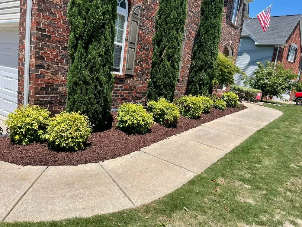 Professional lawn care service in York, SC - Mario Landscaping