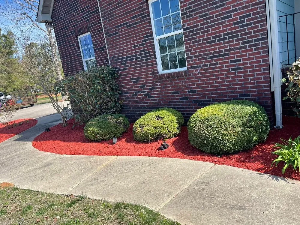 Affordable landscaping services experts serving York, SC - Mario Landscaping