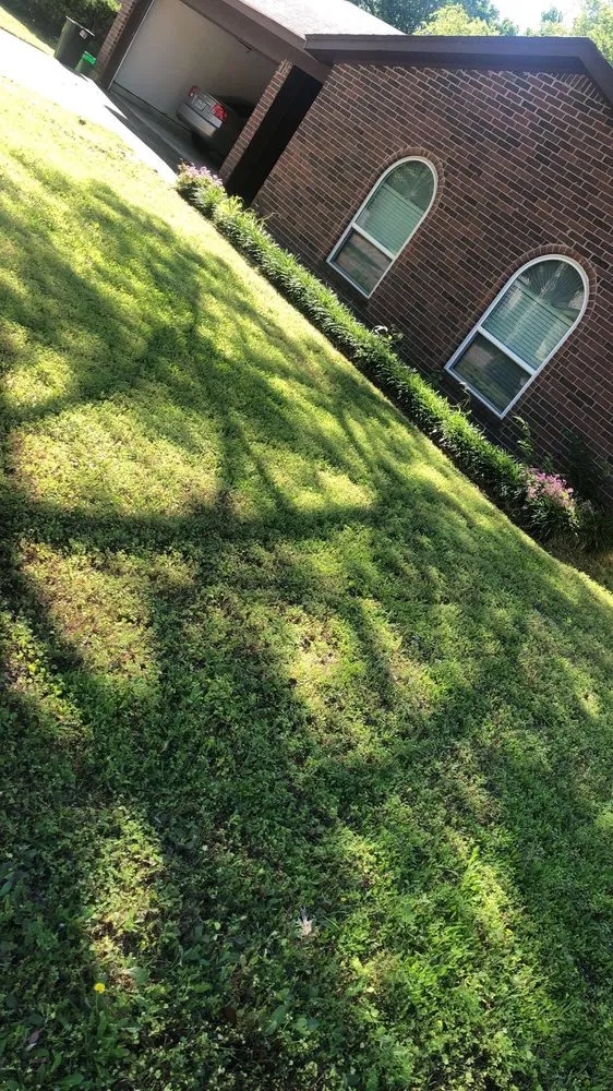 Affordable yard maintenance with custom design across River Oaks, TX - Mario Lawn Service