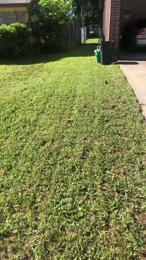 Top-rated lawn mowing service experts serving River Oaks, TX - Mario Lawn Service