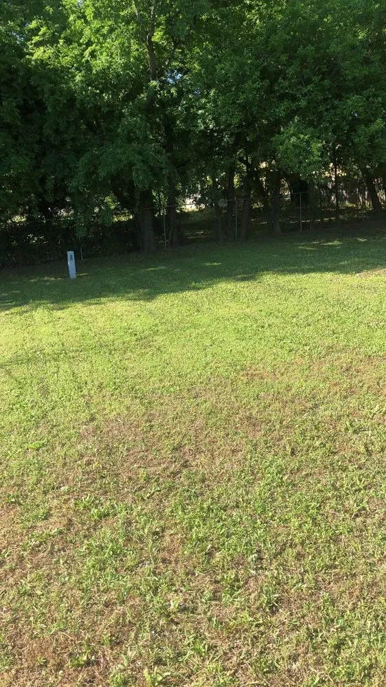 Trusted yard maintenance in River Oaks, TX - Mario Lawn Service