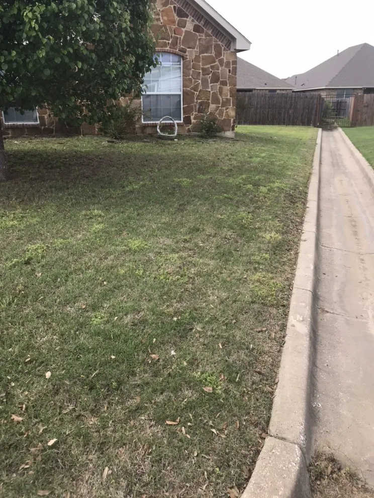 Expert lawn mowing service in River Oaks, TX - Mario Lawn Service