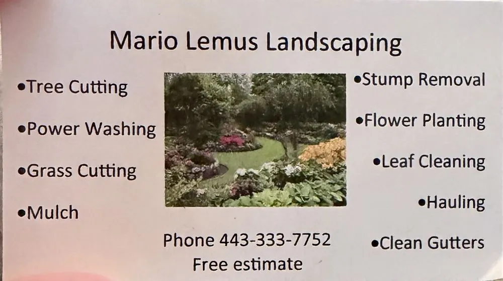 Affordable landscape installation for beautiful yards in Annapolis, MD by Mario Lemus Landscaping