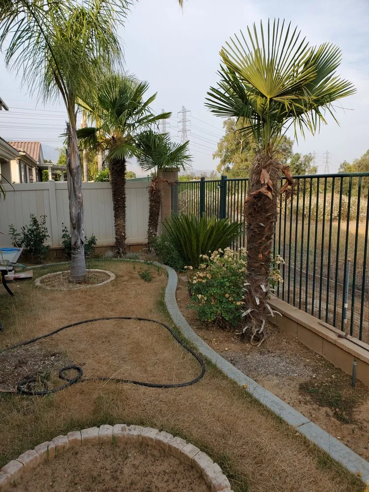 Professional lawn mowing service in Perris, CA by Mario Lucero Tree Service