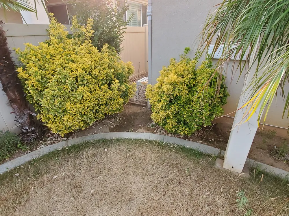 Local garden landscaping for year-round maintenance across Perris, CA - Mario Lucero Tree Service