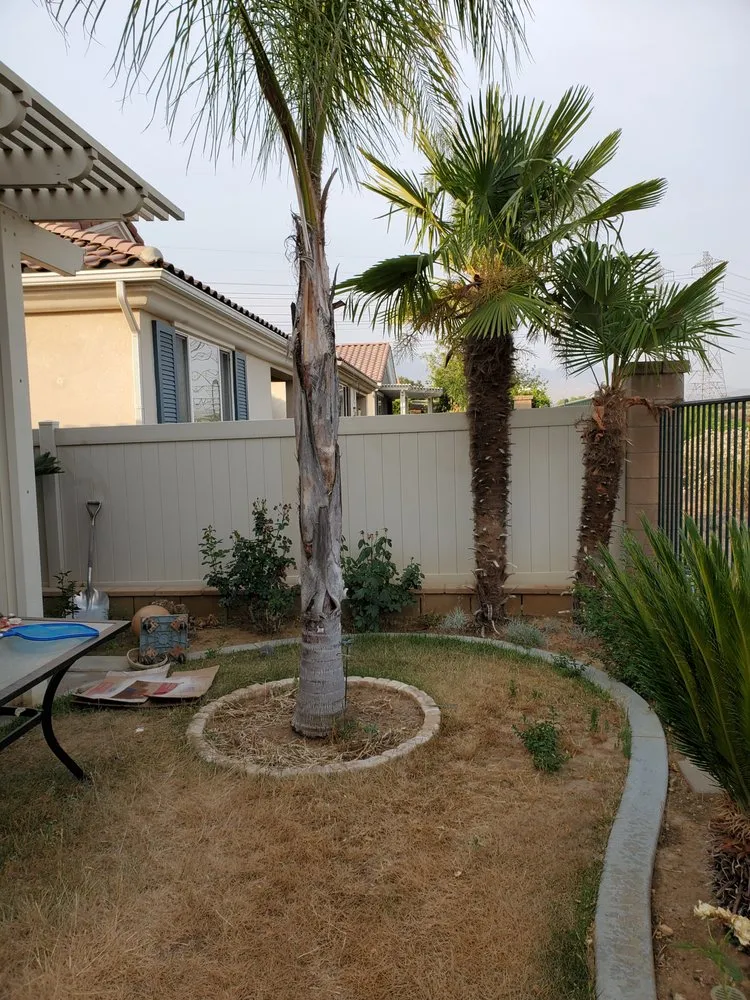 Trusted lawn mowing service experts serving Perris, CA - Mario Lucero Tree Service