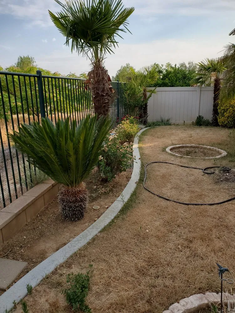 Affordable residential landscaping experts serving Perris, CA - Mario Lucero Tree Service