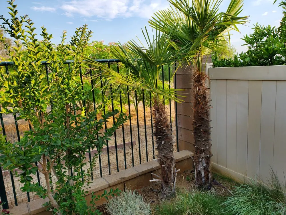 Reliable outdoor landscaping in Perris, CA - Mario Lucero Tree Service
