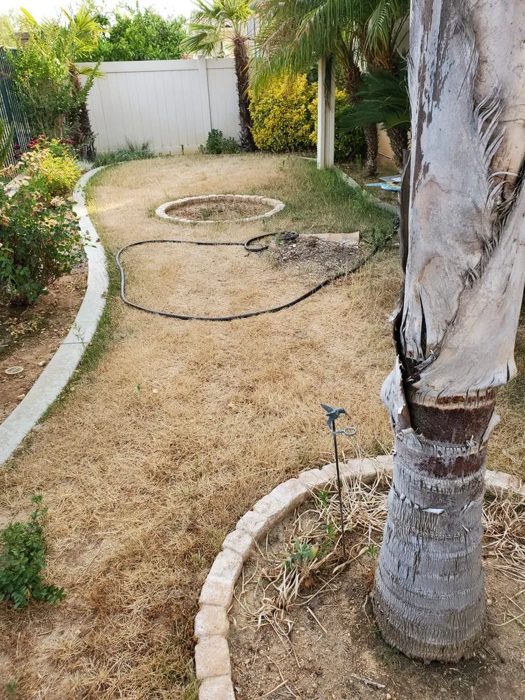 Professional outdoor landscaping for homes in Perris, CA by Mario Lucero Tree Service