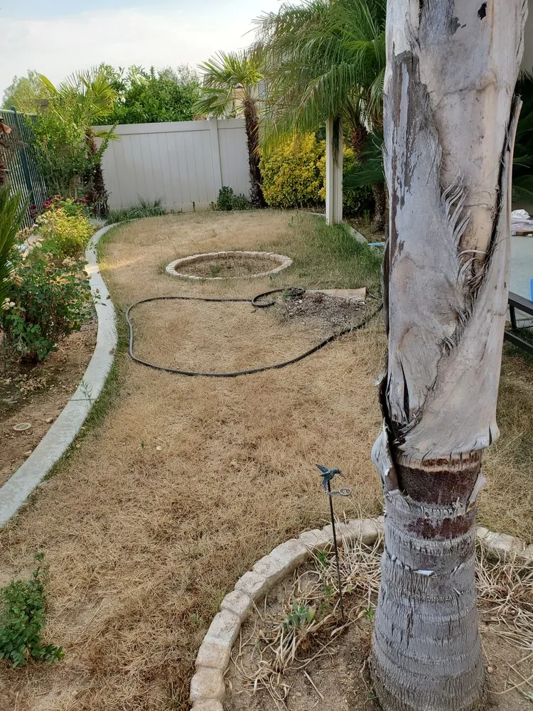 Reliable lawn care service for homes in Perris, CA by Mario Lucero Tree Service