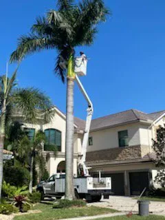 Top-rated lawn care service in Lake Worth, FL - Mario Miguel Landscaping