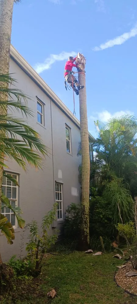 Reliable outdoor landscaping for outdoor upgrades across Lake Worth, FL - Mario Miguel Landscaping