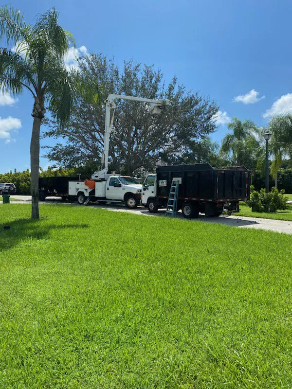 Trusted landscape installation in Lake Worth, FL - Mario Miguel Landscaping