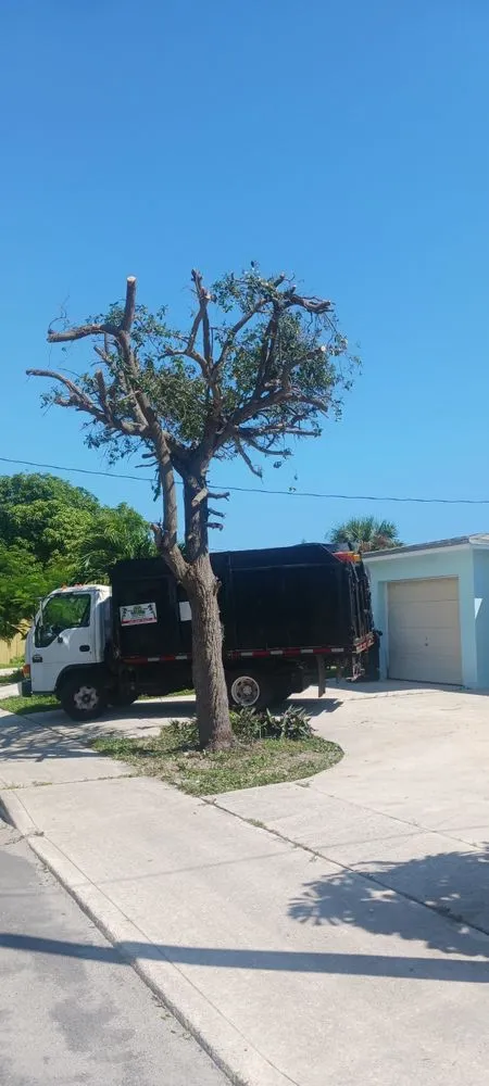 Top-rated landscaping services for beautiful yards across Lake Worth, FL - Mario Miguel Landscaping