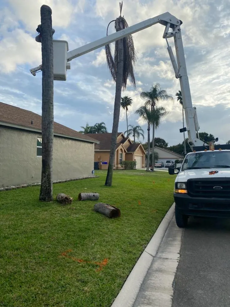 Professional garden landscaping for homes in Lake Worth, FL by Mario Miguel Landscaping