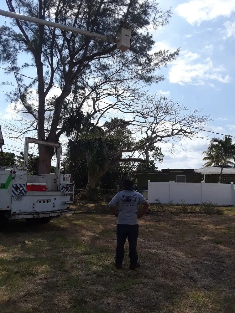 Custom outdoor landscaping for year-round maintenance across Lake Worth, FL - Mario Miguel Landscaping