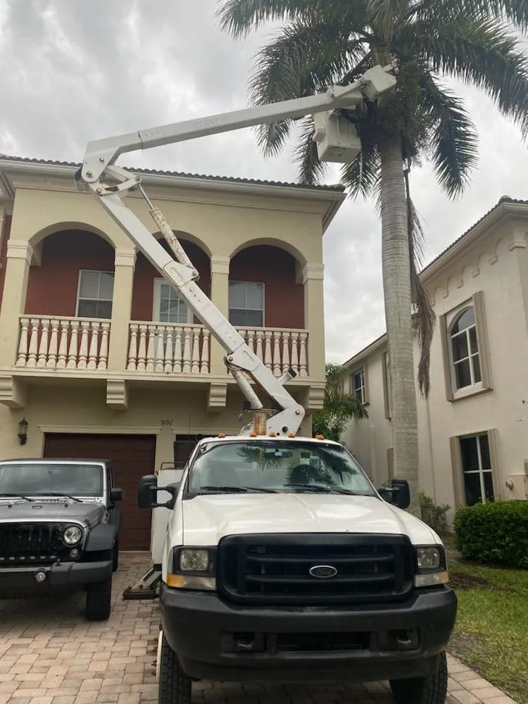 Affordable landscape installation in Lake Worth, FL - Mario Miguel Landscaping